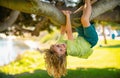 Cute blonde child boy hangs on a tree branch. Summer holidays, little boy climbing a tree. Upside down. Boy climbs up