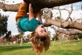 Cute blonde child boy hangs on a tree branch. Summer holidays, little boy climbing a tree. Upside down. Children love