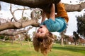 Cute blonde child boy hangs on a tree branch. Summer holidays, little boy climbing a tree. Upside down. Children love