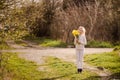 cute blonde happy little girl with yellow daffodils in the spring country Royalty Free Stock Photo