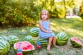 Cute blonde little girl sitting with watermelons around in a park. Summer, fruits, harvest concept