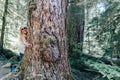 Cute blonde woman hugs a large tree. Taken in Olympic National Park along the Sol Duc Falls trail Royalty Free Stock Photo