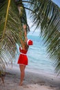 Cute blonde woman in red dress and santa hat jump to palm trees coconut on exotic tropical beach. Holiday concept for Royalty Free Stock Photo