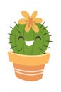 Cute blooming cactus in pot Royalty Free Stock Photo