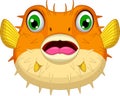 Cute Blowfish or diodon holocanthus cartoon Royalty Free Stock Photo