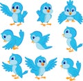 Cute blue bird cartoon Royalty Free Stock Photo