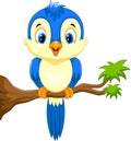 Cute blue bird cartoon on the tree branch Royalty Free Stock Photo