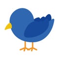 Cute Blue Bird Icon Clipart Cartoon Flat Vector Royalty Free Stock Photo