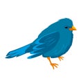 Cute blue bird isolated on white background Royalty Free Stock Photo