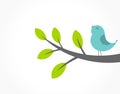 Cute blue bird singing on the tree branch Royalty Free Stock Photo