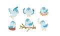 Cute Blue Bird Sitting in the Nest and Flying with Spread Wings Vector Set Royalty Free Stock Photo