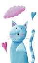 Cute blue cat