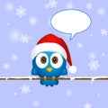 Cute blue christmas bird
