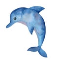 Cute blue dolphin, marine animal, watercolor illustration Royalty Free Stock Photo