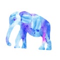 Cute blue elephant in background painted watercolo