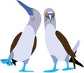 Cute Blue-footed booby vector Royalty Free Stock Photo