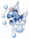 A cute blue goldfish with a golden crown and water bubbles Royalty Free Stock Photo