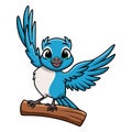 Cute blue jay cartoon on white background Royalty Free Stock Photo