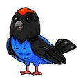 Cute blue manakin bird cartoon