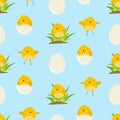 Cute blue pattern with cartoon yellow chickens Royalty Free Stock Photo