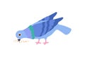 Cute blue pigeon pecking crumbs flat style, vector illustration