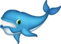 Cute blue whale cartoon Royalty Free Stock Photo