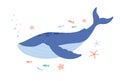 Cute blue whale swimming among starfishes and fishes in sea or ocean. Giant underwater animal. Childish colored flat