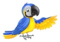 Cute blue and yellow parrot