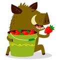 Cute boars or warthog character with bucket of strawberries. Vector illustration with wild pig.