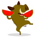 Cute boars or warthog character with slises of watermelon. Vector illustration with wild pigeating fruit. Royalty Free Stock Photo