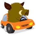 Cute boars or warthog character. Vector illustration with pig dr