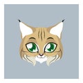 Cute bobcat avatar with flat colors