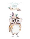 Cute bohemian baby owl animal for kindergarten, woodland nursery isolated decoration forest owls illustration for