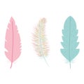 Cute bohemian feathers set icons