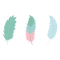 Cute bohemian feathers set icons