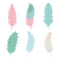 Cute bohemian feathers set icons