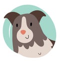 Cute border collie shepherd dog avatar, cute farm animal hand drawn illustration, isolated vector illustration