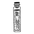 Cute bottle with root. Magical potion