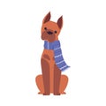 Cute Boxer Dog in Blue Scarf, Symbol of Xmas and New Year, Happy Winter Holidays Concept Cartoon Style Vector