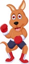 Cute boxing kangaroo cartoon