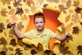 Cute boy in autumn playing with leaves on autumn leaves background. Cute child boy holding gold leaf on yellow Royalty Free Stock Photo