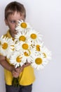 A cute boy with a beautiful bouquet of large daisies. Portrait of a child, funny and cute facial expression. Selective focus Royalty Free Stock Photo