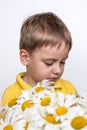 A cute boy with a beautiful bouquet of large daisies. Portrait of a child, funny and cute facial expression. Selective focus Royalty Free Stock Photo