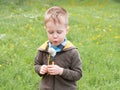 Cute boy with blond hair on a walk. A boy with a dandelion in his hands Royalty Free Stock Photo