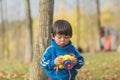 Cute boy in blue sportswear playing with toys in the woods Royalty Free Stock Photo