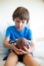 Cute boy, brother, meeting for the first time his new baby broth Royalty Free Stock Photo