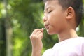 Portrait of a cute boy eating ice cream.