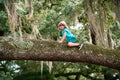 Cute boy Child in a tree on a big branch. Summer hike with kids. Childhood leisure and people concept.