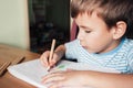 Cute boy drawing picture in album Royalty Free Stock Photo