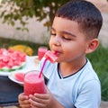 Cute boy drinking watermelon juice Royalty Free Stock Photo